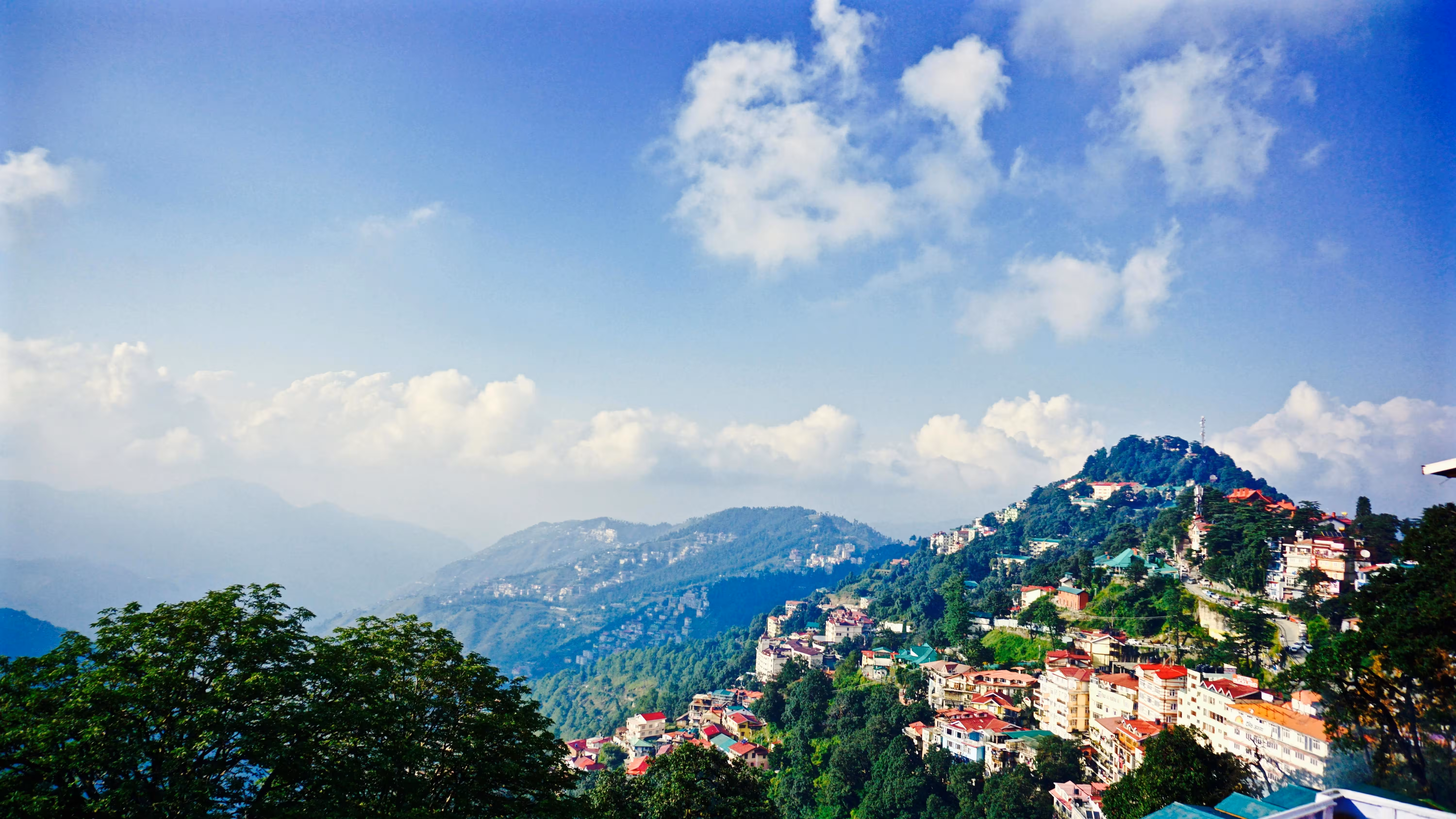 Shimla